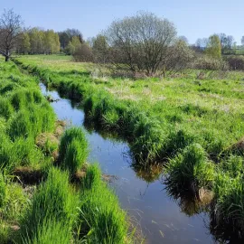 Mezi Jihlávkou a Býkovcem vzniká první ptačí park na Vysočině