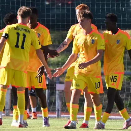 Domácí zápasy fotbalistů FC Vysočina