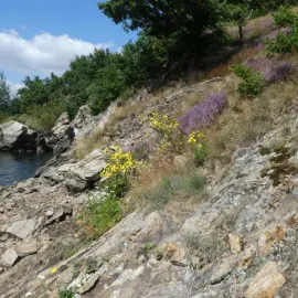 Dřínová hora u Jihlavy je novou přírodní rezervací