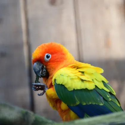 ZOO Jihlava hlásí radostnou sezónu