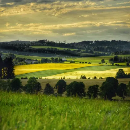 Vysočina je mezi Šampiony Zdravých měst za rok 2025