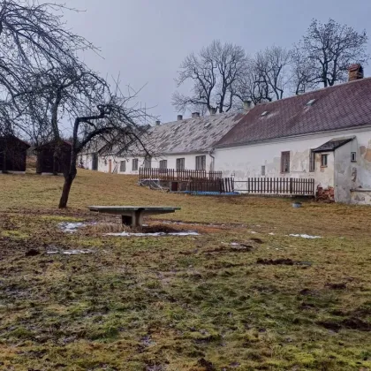 Hájenka Černé lesy v Brtnici na Jihlavsku opět ožije