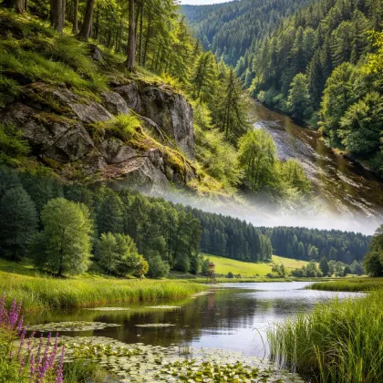 Vysočina má nové přírodní rezervace